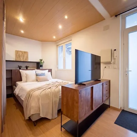 By Flb - Le Majestic Apartment Mülhausen